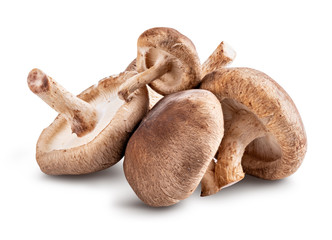 Mushroom for No sugar no carbs diet